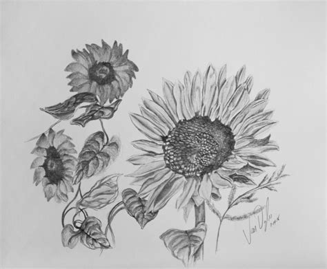 "Sunflower"