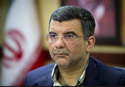 Virus Infections, Deaths on Downward Slope in Most Provinces: Iranian Official - Society/Culture ...