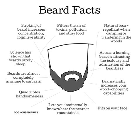 raymondpoort.com » Blog Archive Beard Facts - raymondpoort.com