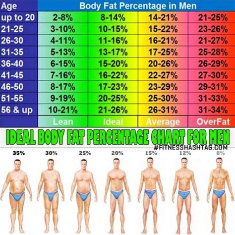 Ideal Body Fat Percentage Chart For Men - What Is Yours Now ? Ab | Fitness | Pinterest | Ideal ...