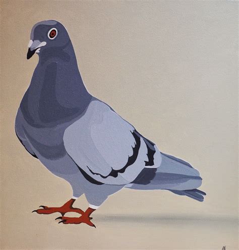 How to draw a pigeon – Artofit