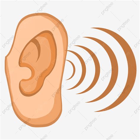 Ear Hear Clipart Transparent Background, Ear And Hearing Health Examination, Ear, Hearing ...