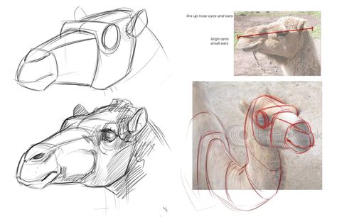 Concept Design Academy: "Animal Anatomy" with Jonathan Kuo~!! | 動物を描く, ラクダ, 動物の描き方