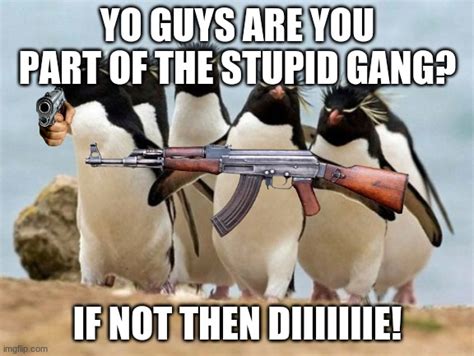 join the stupid gang - Imgflip