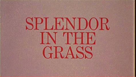 DREAMS ARE WHAT LE CINEMA IS FOR...: SPLENDOR IN THE GRASS 1961