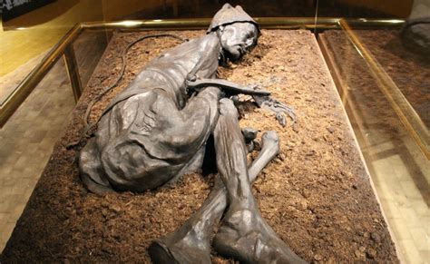 The "Tollund man" is a 2400-year-old bog body and victim of human ...