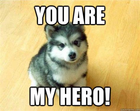 You are my hero! - Baby Courage Wolf - quickmeme