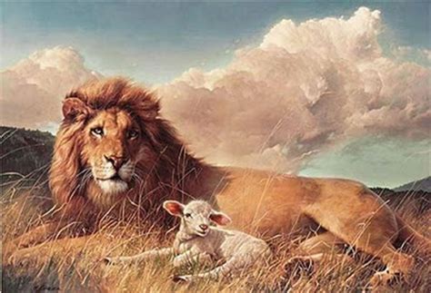 Lion And Lamb Jesus 1280 X 800 - Lion Lamb Digital Art Pixels _ Lion ...