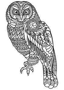 Owl dreamcatcher | Owls - Coloring pages for adults | JustColor