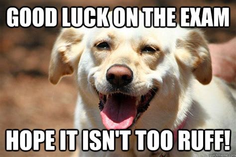 Good luck quotes, Exams memes, Luck quotes