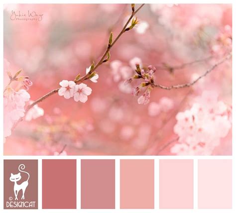 Cherry Blossom - Pink, blush, dusky, rose Designcat Colour Inspiration ...