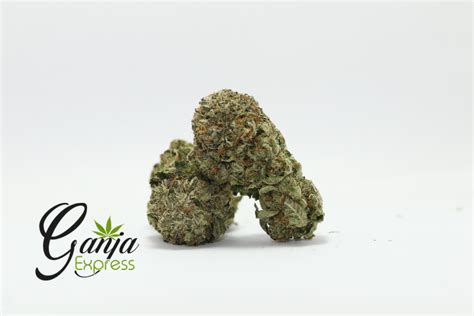 Buy Death Bubba Online Canada - Ganja Express