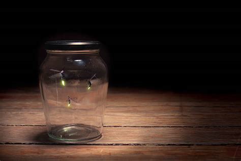 200+ Fireflies Jar Stock Photos, Pictures & Royalty-Free Images - iStock