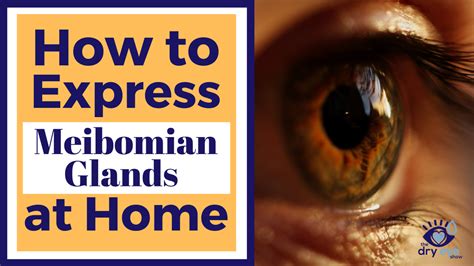 Video On How to do Meibomian Gland Expression Safely | Gland, Dry eyes, Dry eye treatment