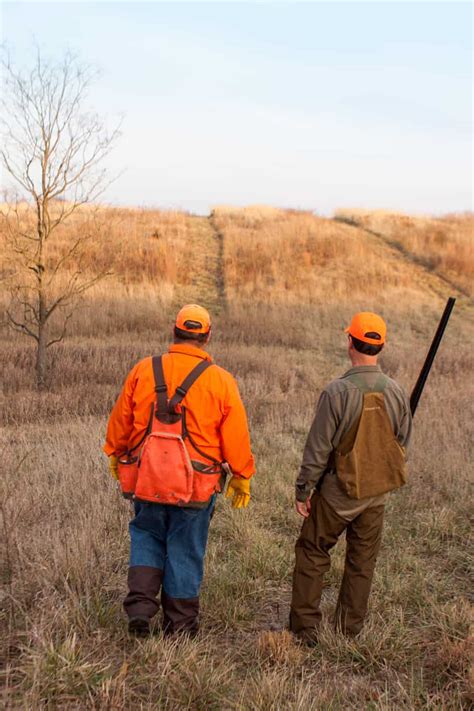 Illinois Quail Hunting Lodge: Wild Quail Hunts & Trips | Heartland Lodge