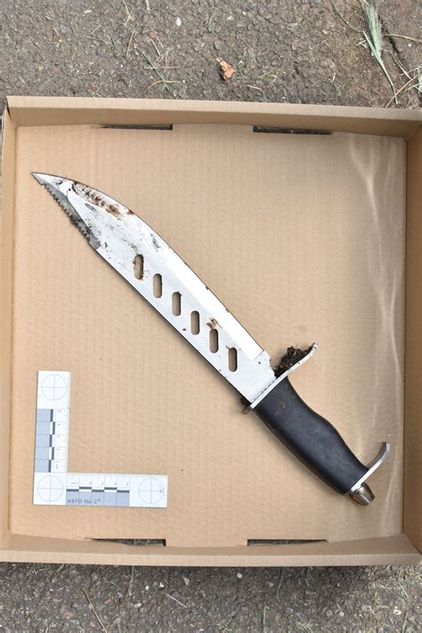 Three guilty of killing teenager in attack with Rambo-style knife ...