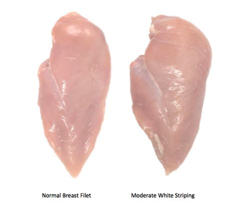 White Striping: What is white striping in chicken?