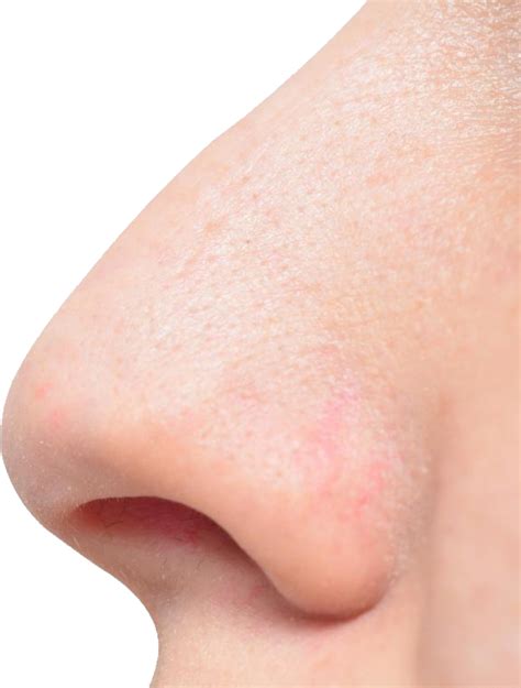 Human Nose PNG Image - PurePNG | Free transparent CC0 PNG Image Library | Nose drawing, Human ...