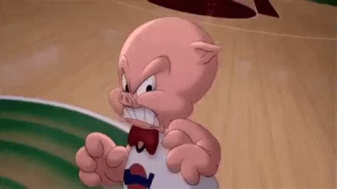 Space Jam Porky Pig GIF - Space Jam Porky Pig Grrrrrr - Discover ...