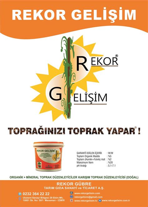 Rekor Gelişim