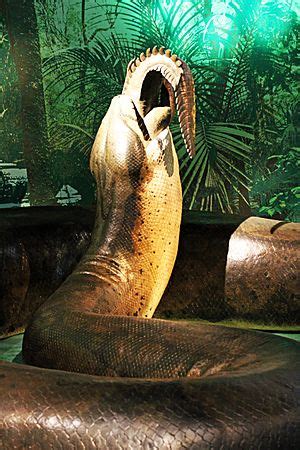 Titanoboa Facts for Kids