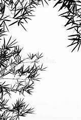 背景竹子离开剪影 库存例证 插画 包括有 叶子 环境 投反对票 空白 增长 背包 非常尖 植被  5599791 sketch template