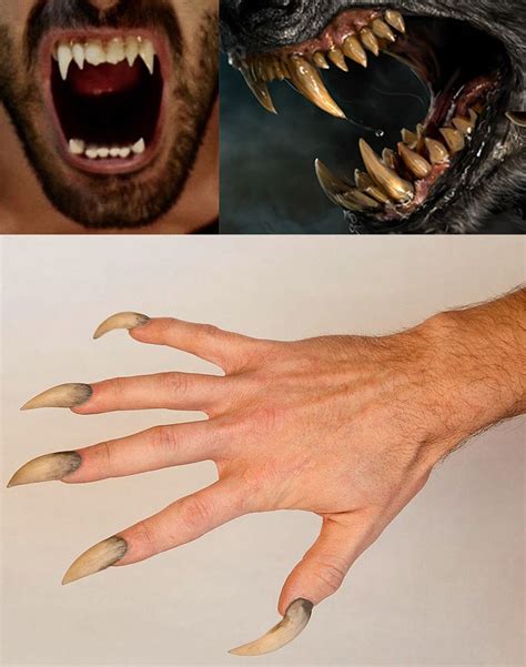 Natural weapons of a Werewolf - Fangs and Claws Werewolf Fangs, Werewolf Costume, Fantasy ...