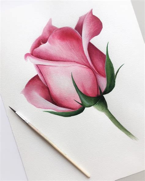 Dry Brush Watercolor Technique | Pencil drawings of flowers, Realistic flower drawing, Flower ...