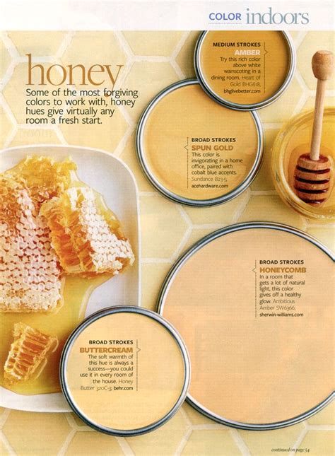 Better Homes and Gardens - Honey | January 2010 | Paint color palettes ...