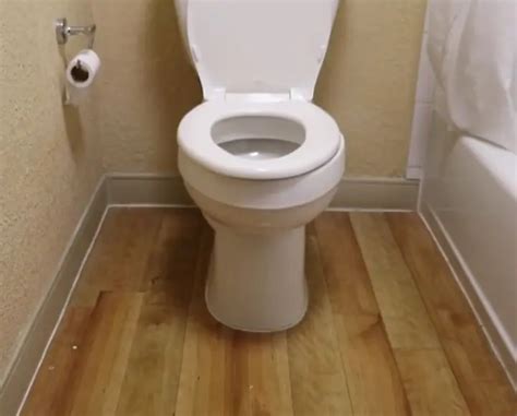 Poop Stains On Toilet Seat? (How To Remove Them Easily!) – Centrihome