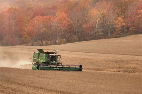 Soybean Harvesting Photograph by Lori Deiter | Pixels