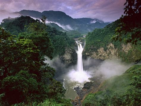 Amazon Rainforest : Images - History - Biodiversity