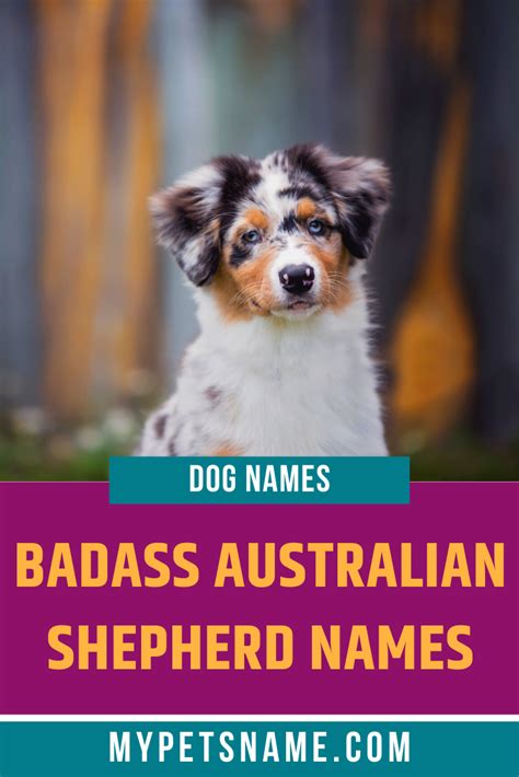 If your dog is more badass than cute, you need a more powerful and punchy name to suit them down ...