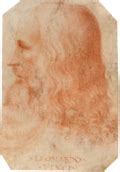 File:After Leonardo da Vinci - RCIN 912493, v, Four grotesque heads, including a caricature of ...
