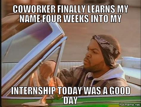 10 intern memes reflect their work lives - Careers | siliconrepublic ...