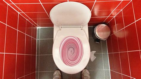 The Myth of the Swirling Toilet Bowl Water | by R. Philip Bouchard | The Philipendium | Medium