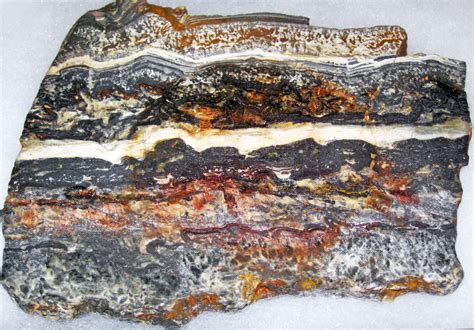 Stromatolite (Dresser Formation, Paleoarchean, 3.48 Ga; No… | Flickr