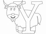 Y Is For Yak coloring Page  coloringcom sketch template