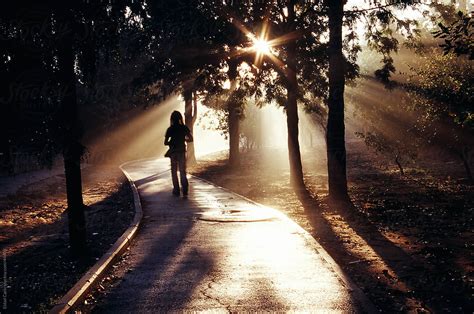 "Person Walking In Grove Path At Sunrise" by Stocksy Contributor "Eldad Carin" - Stocksy