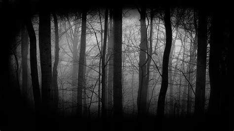 Dark Woods Wallpapers HD Free Download