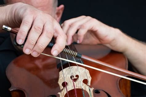 6 interesting facts you need to know about the Cello Bow