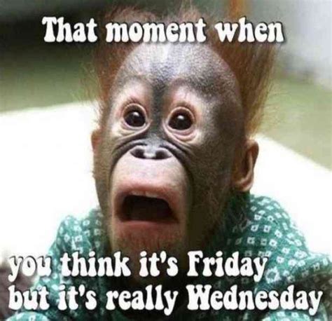 17 Hilarious Hump Day Memes To Help You Get to the Weekend | Funny wednesday memes, Wednesday ...