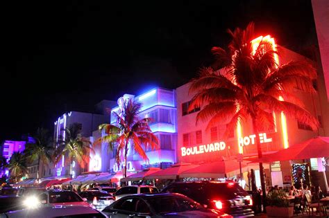 5+1 tips for Miami nightlife | Globe Called Home Travel Blog | Miami nightlife, Miami beach ...