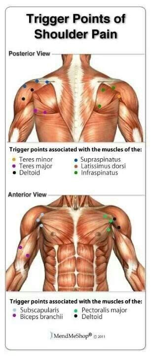 Pin on Massage Therapy & Bodywork