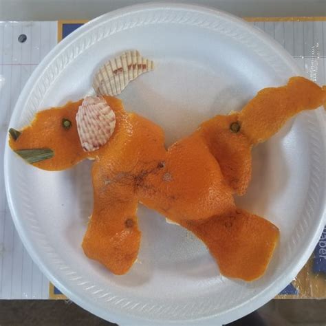 orange peel art | Orange peel, Orange, Art