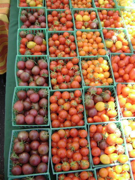 Cherry Tomato Free Stock Photo - Public Domain Pictures