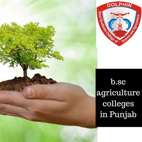 Wanna pursue bachelor’s degree in Agriculture? #Dolphin(PG) #college is among the leading #b.sc ...