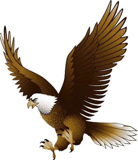 Flying Bald Eagle Clip Art