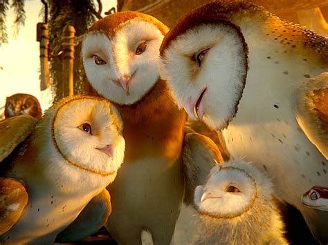 Sensational Collections Of Soren The Barn Owl Photos | Loexta