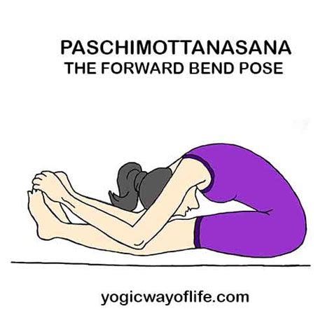 Paschimottanasana - The Forward Bend Yogic Pose